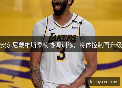 安东尼戴维斯柔韧协调训练，身体控制再升级