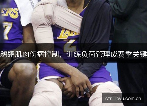 鹈鹕肌肉伤病控制，训练负荷管理成赛季关键
