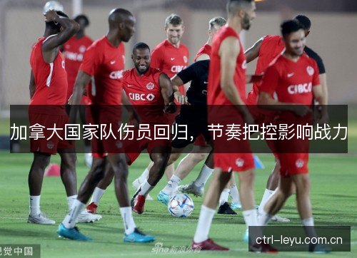 加拿大国家队伤员回归,节奏把控影响战力 加拿大国家队伤员回归,节奏把控影响战力